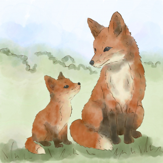 Fuchs_Aquarell