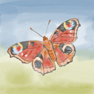 Tagpfauenauge_Aquarell