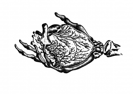 HerzInDerHand_21x297